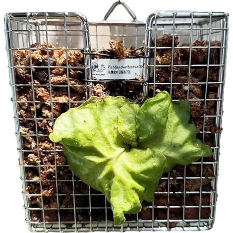 Blumentopf Korb aus Edelstahl 304 25 cm vertikale Montage