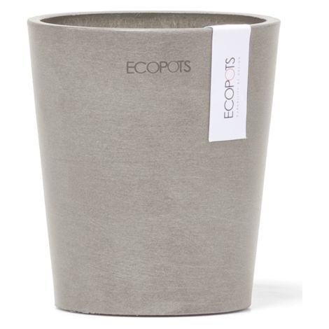 Vaso Per Orchidee Morinda D11 H12.5 Talpa Ecopots (1/2)