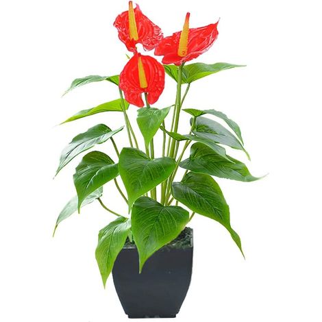 Fleur Artificielle Rouge Lis Calla Artificielle Petite Plante en Pot avec Plante en Pot Noir Faux Bonsaï Fleur Convient pour la Maison, le Bureau, la Décoration d'Occasion Intérieure et Extérieure (1/5)