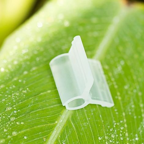Lot de 100 clips de greffage en plastique pour le greffage de tomates, clips de porte-greffe transparents, s'adaptent à différentes épaisseurs de tige (2,5 mm) (1/5)