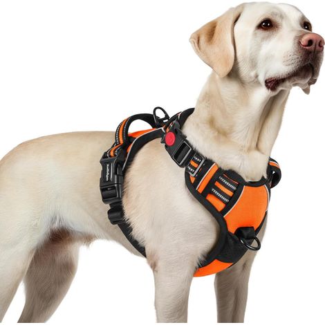 Arnés Perro - Anti Traction Con Asa Superior - Malla Transpirable Acolchada - Reflectante - Talla L - Para Perros Grandes (1/5)