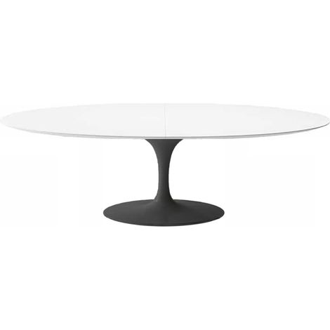 Table tulipe ovale extensible 170/230 cm blanc et noir mat (1/5)