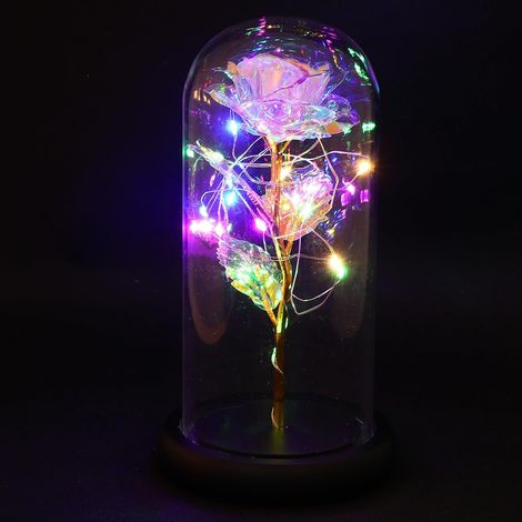 Lampe Romantique Saint Valentin Rose Éternelle sous Cloche en Verre Borosilicaté Lumineuse, Décoration Créative pour Décorer Votre Maison (1/5)