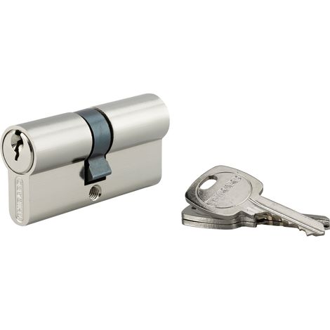 Cylindre de serrure double entrée 25x35mm – Protection anti-arrachement – 3 clés fournies – Pour portes de cabanons