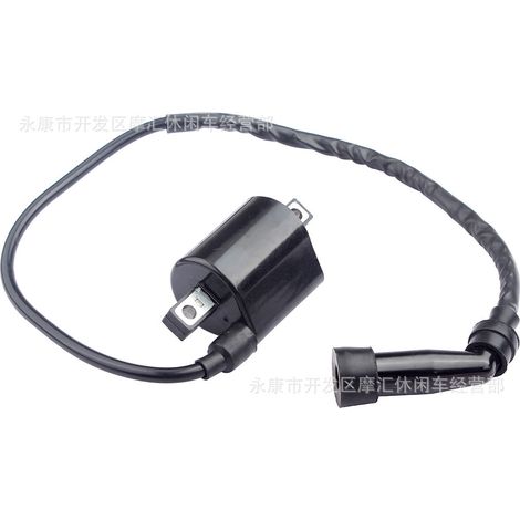 Applicable to Yamaha XVS1100 V-STAR 5EL-82320-00-00 high voltage coil 1999-2009 (1/5)
