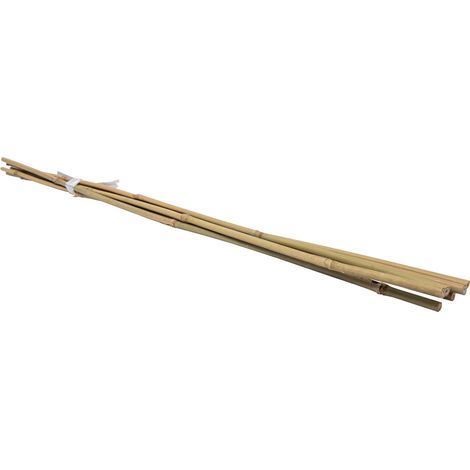 Lot de 6 tuteurs en bambou WERKA PRO H 120cm (Ø 12-14 mm)