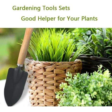 Mini Garden Tools Set of 3, Succulent Plants Tools Wood Handle