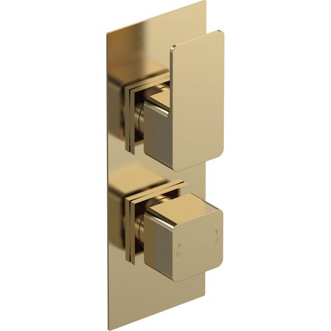 Swinscoe Contemporary Square Concealed Twin Thermostatic Shower Valve, 215mm - Brushed Brass Bathroom Fixture by Balterley