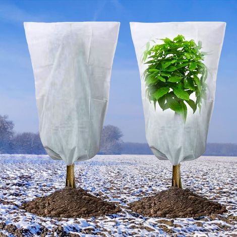 Voile d'Hivernage pour Plantes,Housse de Protection Non Tissée avec Cordon de Serrage,Blanc (120 x 180 cm) (1/5)