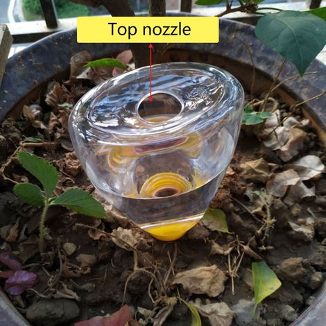 Arrosoir automatique pour plantes, goutte-à-goutte pour jardinage facile - Modèle ours (15x8x8 cm) en tête céramique et plastique, kit d'irrigation pour pots. (1/5)