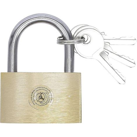 Cadenas en Laiton 40 mm - Résistant et Sécurisé, Pro - D-Work