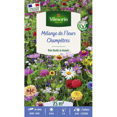 Vilmorin Fleurs Champêtres - 25 m² - Mélange de fleurs (1/2)
