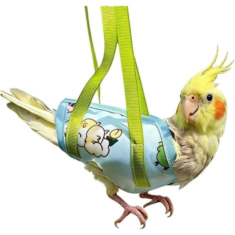 Porte-Oiseau Transport Écharpe Perroquet Anti-Fuite Portable Porte-Perroquet Pour Conure Calopsitte Perruche Inséparable Pinson Canari Randonnée Plein Air Déménagement (1/5)