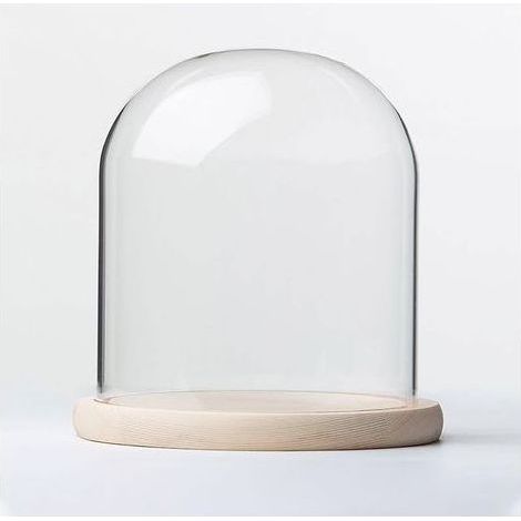 Kaelt - Cloche en Verre avec Base en Bois, diamètre 20 cm. Cloche en Verre avec Base en Bois Massif for Exposer Plantes, Ornements et Figurines.(20 20cm) (1/5)