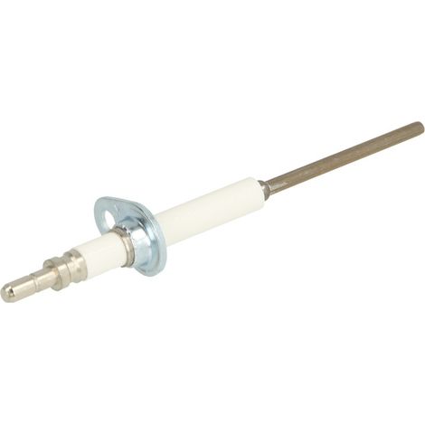 Electrode d'ionisation