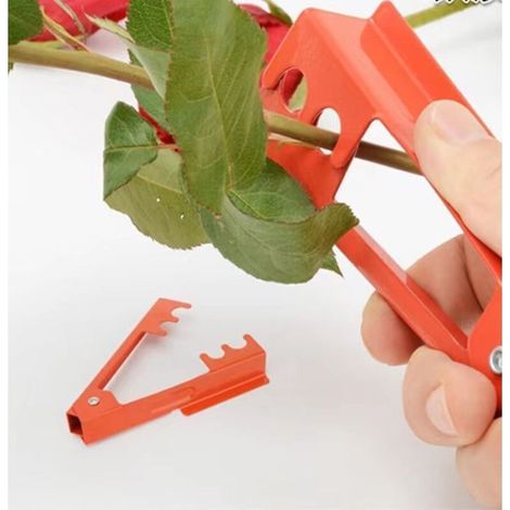 1 Outil pour retirer les épines de rose - Pince à épines pour emballage floral (1/5)