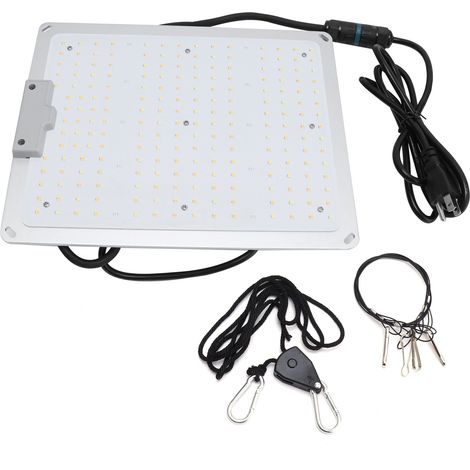 horticole 100 W à spectre complet avec 220 LED pour serre et