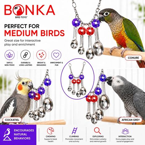 Ninfa y cotorra: juguete interactivo colgante para pájaros con cucharas de acero inoxidable. Juguete para jaula para masticar, buscar alimento y enriquecer la experiencia de aves pequeñas y medianas.
