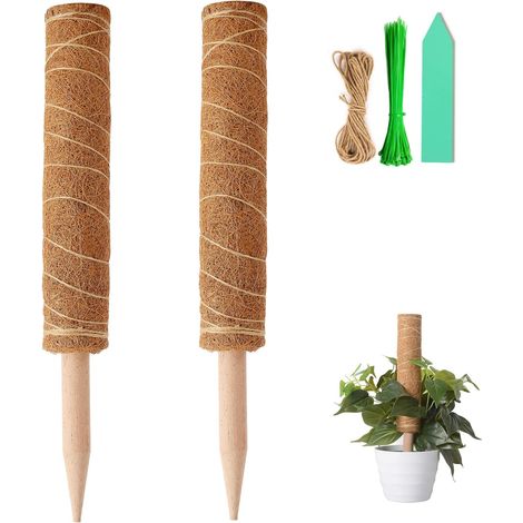 Tuteur en Mousse de Coco de 40 cm, Support pour Plantes Grimpantes (Monstera, Pothos), Vrilles avec 100 Attaches Torsadées, Ruban de Ligature de 1 m, 10 Étiquettes Vertes pour Plantes. (1/5)