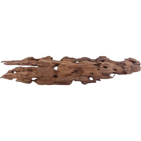 XL Honey Comb Wurzel Nr.5150 Holz Deko Aquascaping