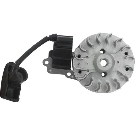 Kit volano bobina elettronica compatibile motore KASEI soffiatore EBV230E