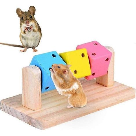 Jouets à mâcher pour hamsters, jouets à mâcher en bois naturel pour cochons d'Inde, lapins, chinchillas, exercices d'intelligence, jouets en bois colorés (1/5)
