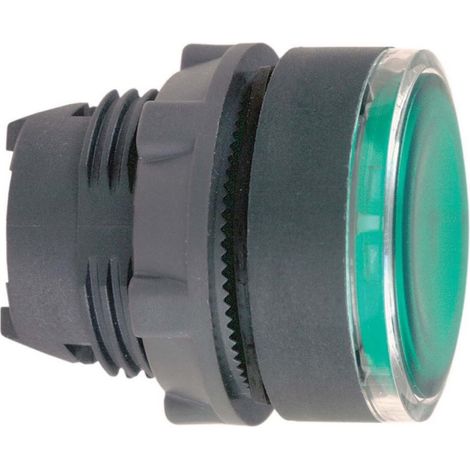 Schneider Electric DRUCKTASTER GRÜN M.RAST. (ZB5-AH033)