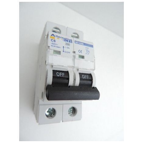 Disjoncteur 6A 2P courbe C 6kA bornes vis norme CE ALTERNATIVE ELEC AE14206