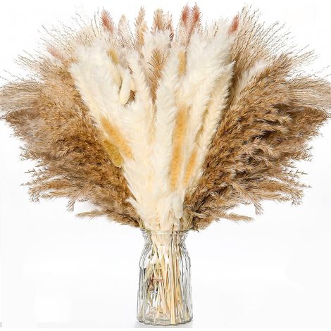 Pampas Grass - Dried Reed Grass Bouquet - 44 cm - Natural Boho Home Wedding Decoration - 1 Piece (1/5)