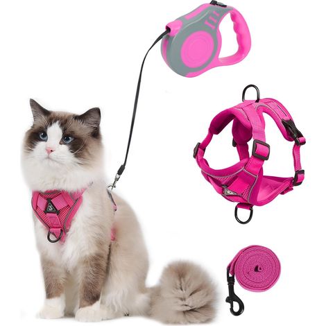 Ensemble harnais et laisse rétractable pour chat, kit de promenade sécurisé avec réglage ajustable (1/5)