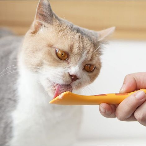 Pelle à nourriture humide pour chat, mini cuillère pour aliments en conserve pour animaux de compagnie, sans BPA, petite cuillère d'empotage, grattoir pour chat facile à nettoyer (simple) (Orange) (1/2)