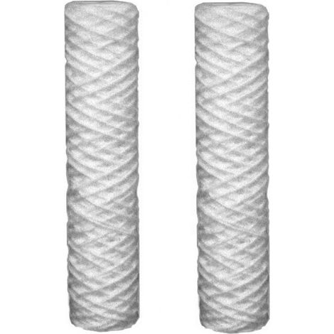 2 inserti filtranti per sedimenti da 100 µm compatibili con tutti gli alloggiamenti da 10". (1/2)