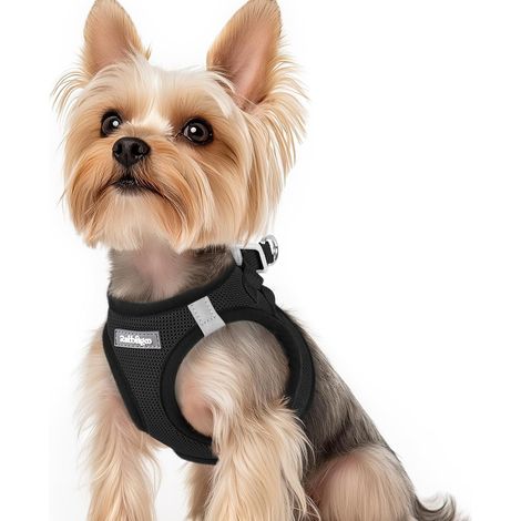 Pettorina per cani di piccola taglia, nera, taglia XS, in morbida rete traspirante, con inserti riflettenti, facile da indossare e regolabile per cani di piccola e media taglia, ideale per le passeggi (1/5)