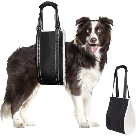 Harnais pour Chien Handicapé, Harnais de Levage Réglable pour Soutenir Les Chiens Handicapés et Âgés afin de Fournir Un Soutien de Sécurité pour Les Chiens de Petite, Moyenne Grande Taille (XL)