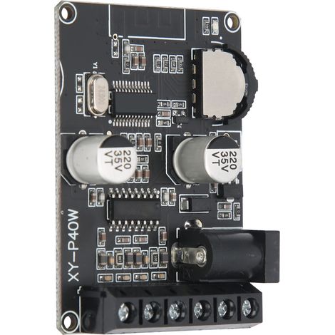 Module amplificateur de puissance Bluetooth 5.0 stéréo haute puissance pour mégaphone numérique 524 V XYP40 W (1/5)