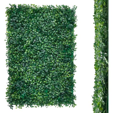 Parete verde - pannello vegetale con bosso (1/5)
