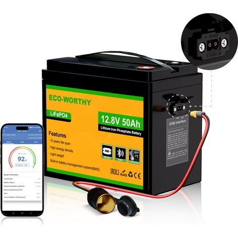 ECO-WORTHY 12V 50Ah LiFePO4 Akku Lithium batterie wiederaufladbar mit über 3000 Mal Tiefzyklus und BMS-Schutz für Wohnmobile, Boote, Solaranlagen, Windanlagen, industrielle Anwendungen & Rollstuhl