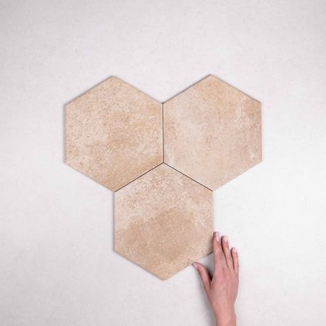 Carrelage Effet Terre Cuite TERRE ETRUSCHE 25x22 cm Lazio (1/3)