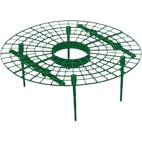 Lot de 10 supports pour fraises pour garder vos fraises élevées et bien (1/4)