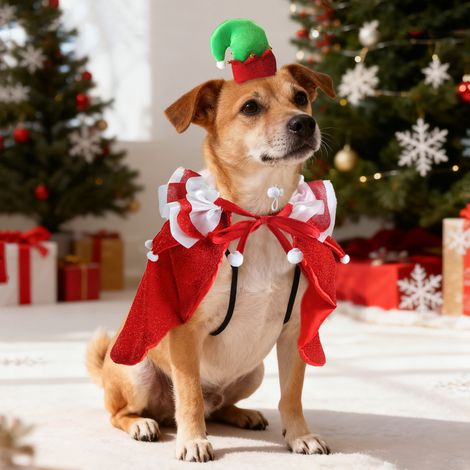 Haustierumhänge, Weihnachtskleidung für Haustiere, Sets mit Umhängen und Hüten für kleine Hunde und Katzen (1/2)