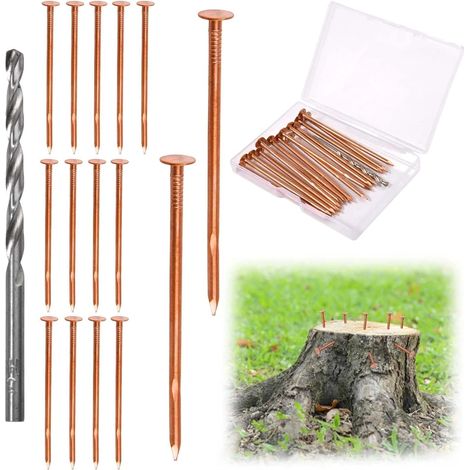 15 pièces Clous en cuivre pour Tuer Les Arbres, souches et Racines, Clous en cuivre Pur de 3,1" avec mèche HSS et boîte de Rangement, pour l’aménagement paysager et Le Jardinage (1/5)