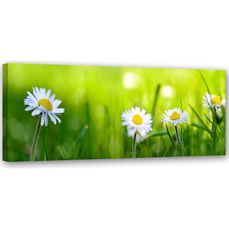Quadro su tela, Margherite erba verde - 120x40 (1/5)