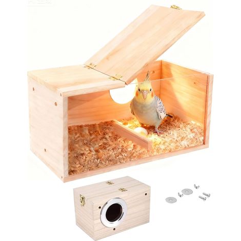 Nichoir d'oiseau Design Transparent Boîte d'Élevage en Bois Mangeoire à Oiseaux en Bois Naturel pour Perruches Perroquets Reproduction Nid Élevage (12x12x19,5cm) (1/5)