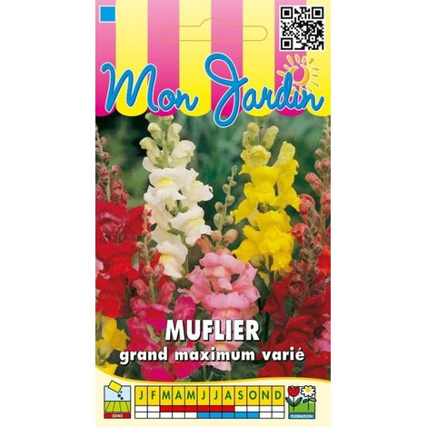 Muflier grand maximum varié - 0,5g