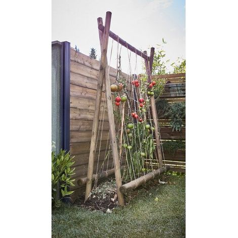 Centrale Brico – Poteau pour clôture en bois 2.5m – Section 60mm – Couleur beige – À enfoncer pour terrains accidentés (1/3)