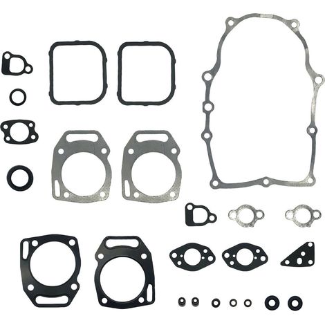 Jeu de joints de moteur pour Briggs & Stratton numéro 841188 (1/5)