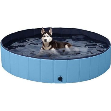Piscine pour Chien Pliable XL - - Bleu - Antidérapant (1/4)