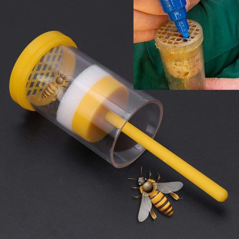 Cage de marquage pour reines, bouteille d'apiculture, reine - AquaForge
