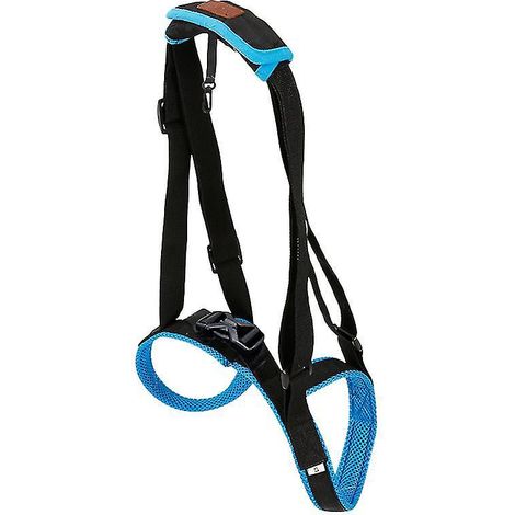 1 bracelet de protection pour chien (1/3)
