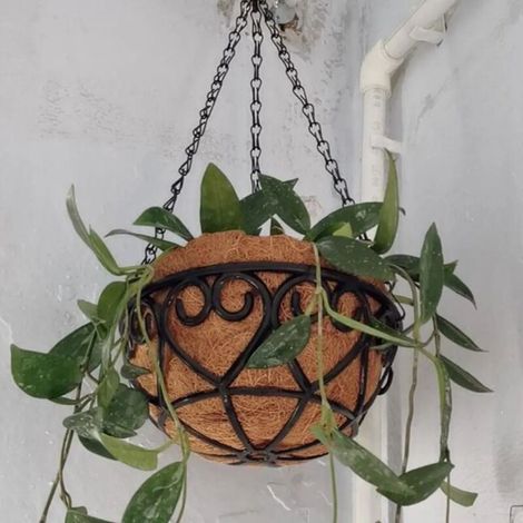 (40-25) Pot de fleurs suspendu rond en fer brun noix de coco avec chaîne, style européen créatif, pour plantes vertes charnues (Chlorophytum Comosum). (1/4)